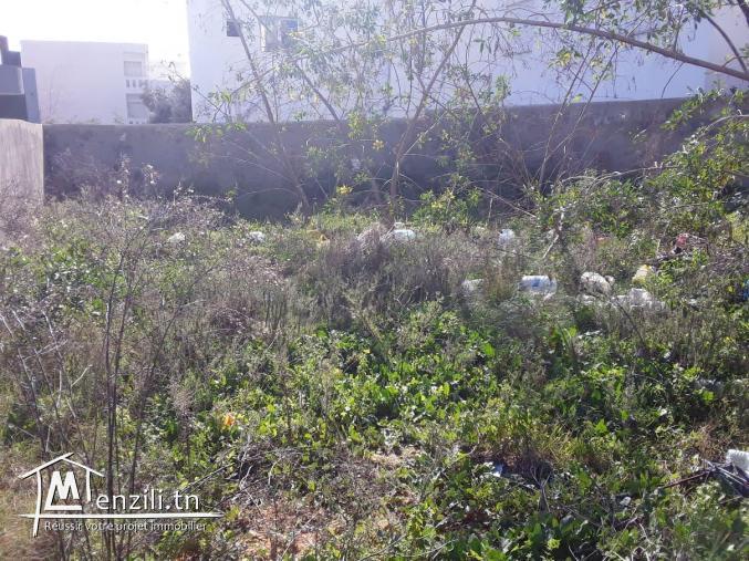 Lot 400m Hammamet Nord prix abordable