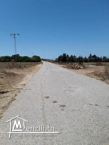 لمزيد الاستفسار كلمني على :29232582