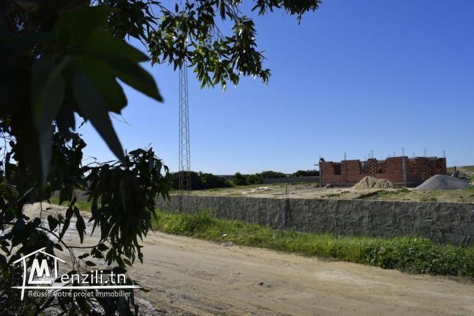 ملا فاش تستنى و تكلمنا على  :29232582