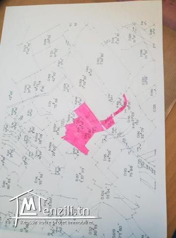 بيع اختياري لأرض بيضاء قرب مول سوسة