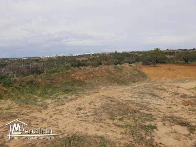 بيع اختياري لأرض بيضاء قرب مول سوسة