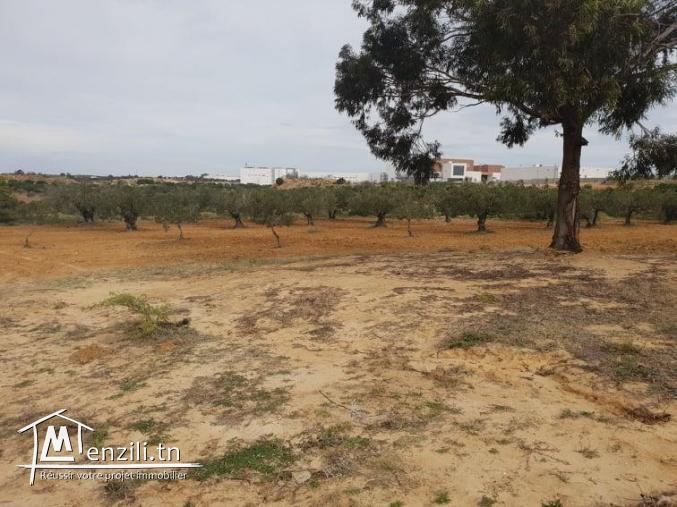 بيع اختياري لأرض بيضاء قرب مول سوسة