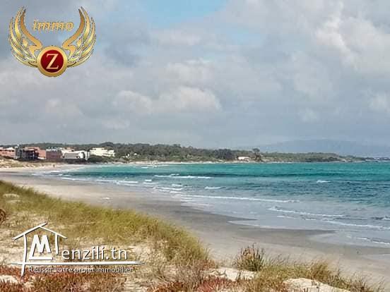 a vendre terrain  de 250 m2 a kelibia