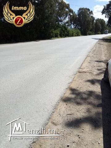 a vendre terrain  de 250 m2 a kelibia