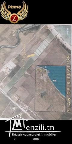 a vendre terrain  de 250 m2 a kelibia