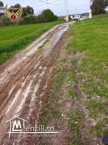 a vendre terrain  de 250 m2 a kelibia