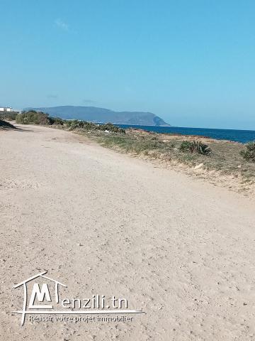 تقسيم جديد في دار علوش قليبية en deuxième position على البحر