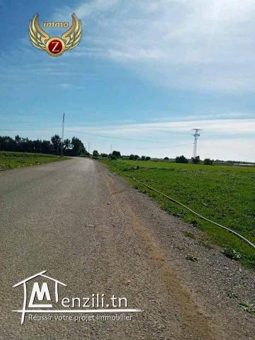 à vendre terrain à kelibia de 230 m2