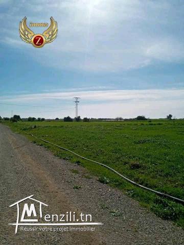 à vendre terrain à kelibia de 230 m2