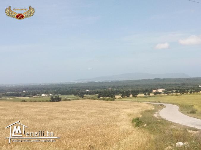 à vendre terrain 1000 m² à kelibia tamezrat