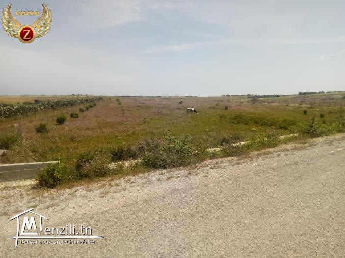 à vendre terrain 1000 m² à kelibia tamezrat
