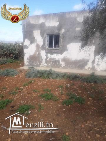 terrain a vendre dar allouch kelibia