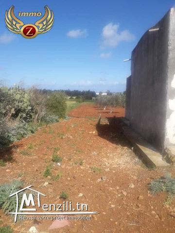 terrain a vendre dar allouch kelibia