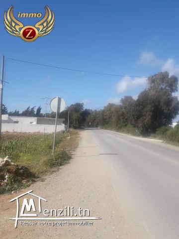 terrain a vendre dar allouch kelibia