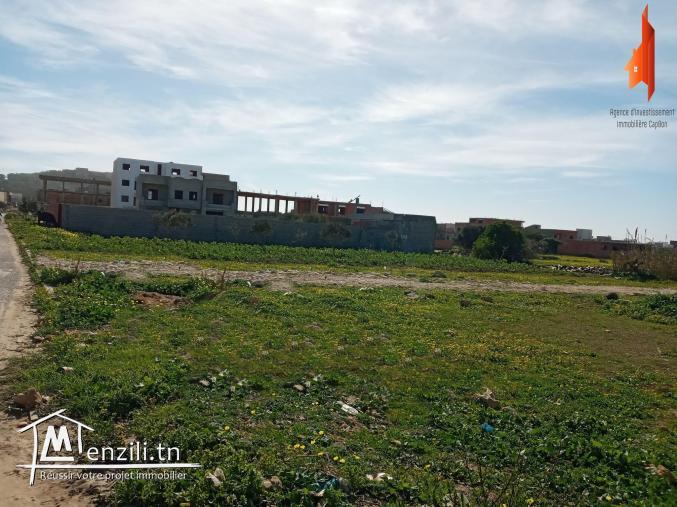 أرض في قليبية طريق البرج