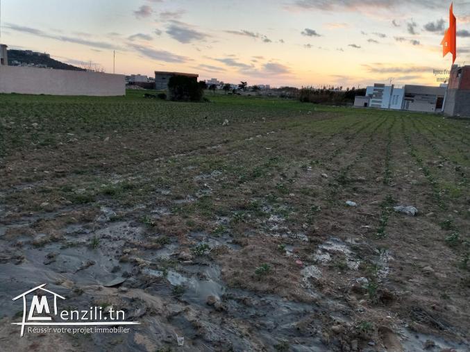 Terrain à #kèlibia(rue mansoura)