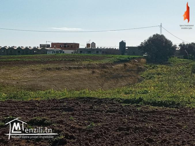 أرض فلاحية   طريق" حاروري " قليبية