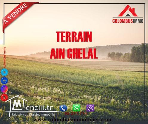 Terrain Agricole à Ain Ghlel