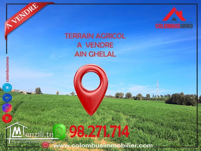 Terrain Agricole à Ain Ghlel