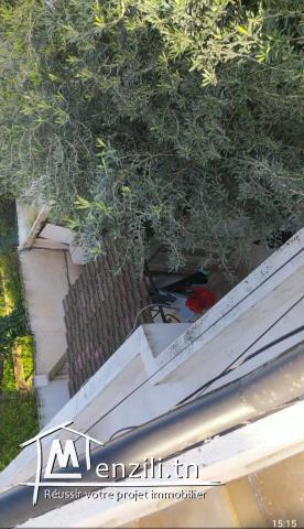 A vendre un studio s1 avec jardin 