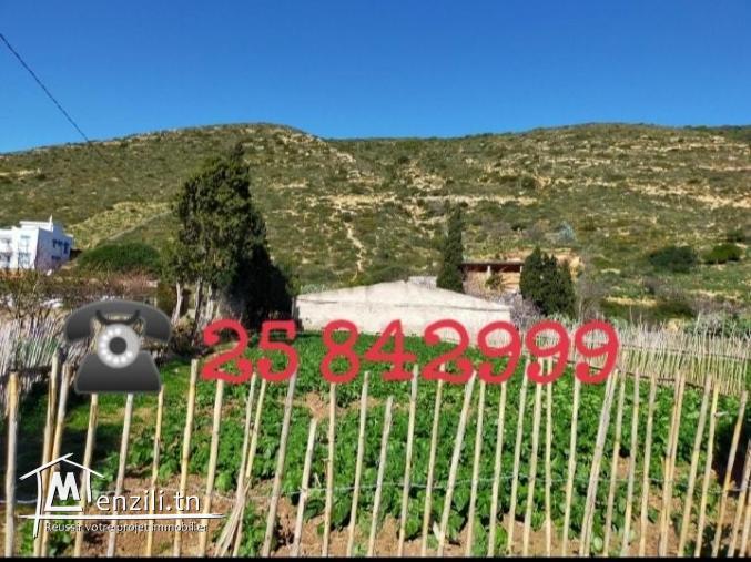 opportunité terrain viabilisé , commercial