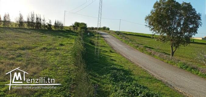 (ارض للبيع 200 متر مربع مسجلة 30 مليون (18كم عن العاصمة