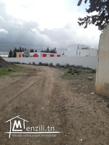Terrain a Vendre au kef
