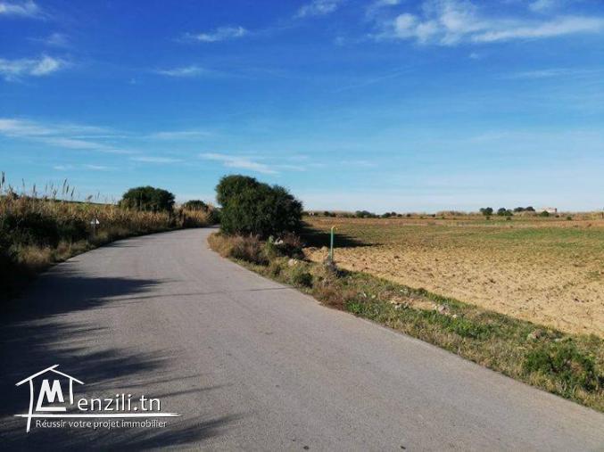 un terrain à Chat Al Qabli Al Haouaria  98915553