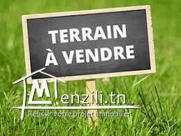 Un  superbe terrain situé au Bardo à avenue taieb mhiri