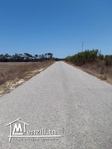 قليبية  300م² 98915553