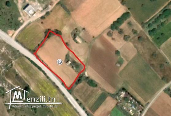 Terrain de 500 m2 sur la route principale