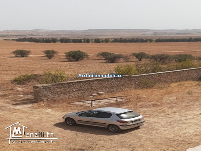 Un superbe terrain agricole à faja manouba