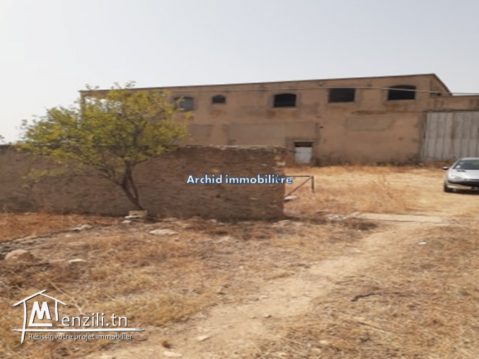 Un superbe terrain agricole à faja manouba