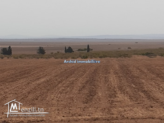 Un superbe terrain agricole à faja manouba