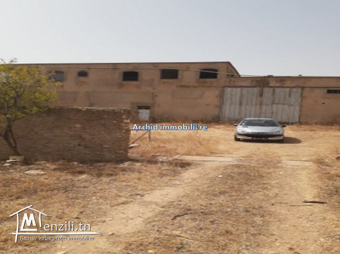 Un superbe terrain agricole à faja manouba