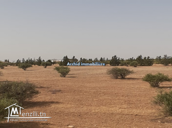 Un superbe terrain agricole à faja manouba