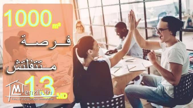 أرض فلاحية   طريق" حاروري