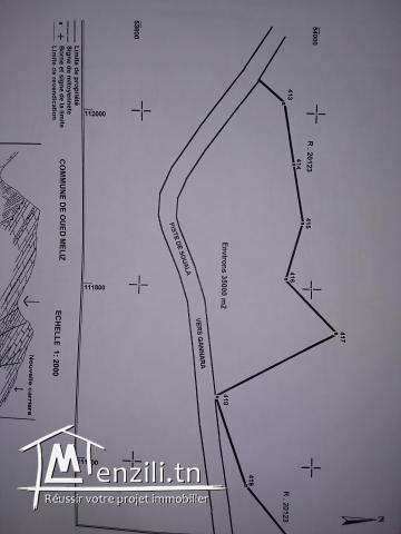 terrain  de marbre chemtou