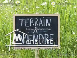 terrain a vendre de 500 m2 a hammamet 