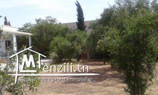 a vendre terrain et un villa 1270 m