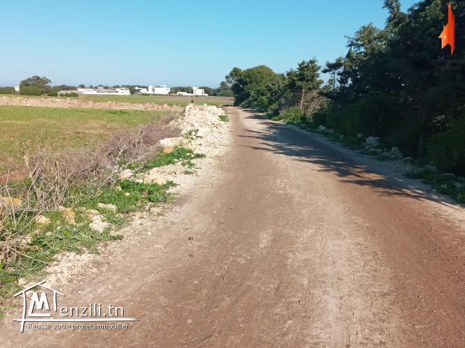 أراضي على البحر في كركوان قليبية