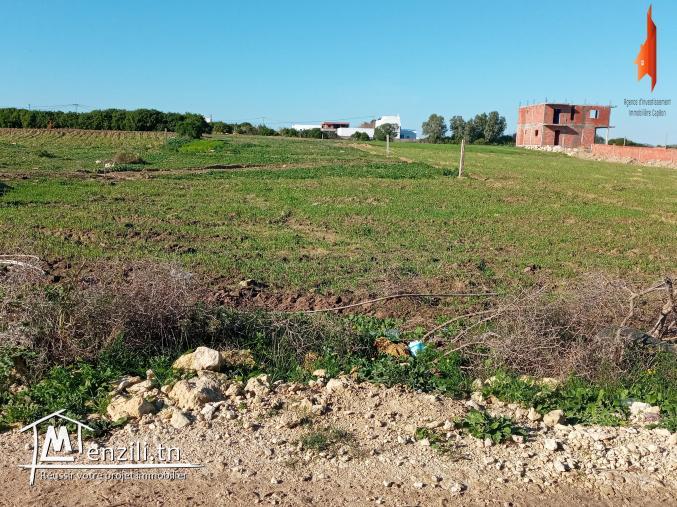 أراضي على البحر في كركوان قليبية