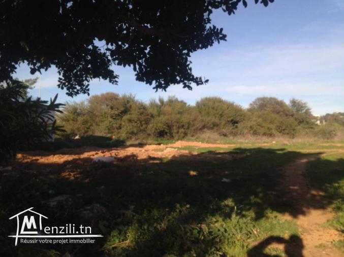 Offre de terrain à saisir à la mâalga