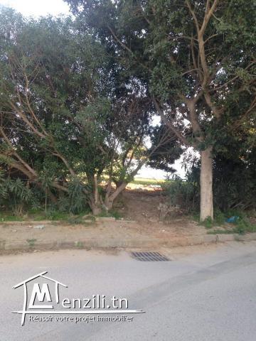 Offre de terrain à saisir à la mâalga