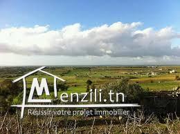 أراضي للإستثمار