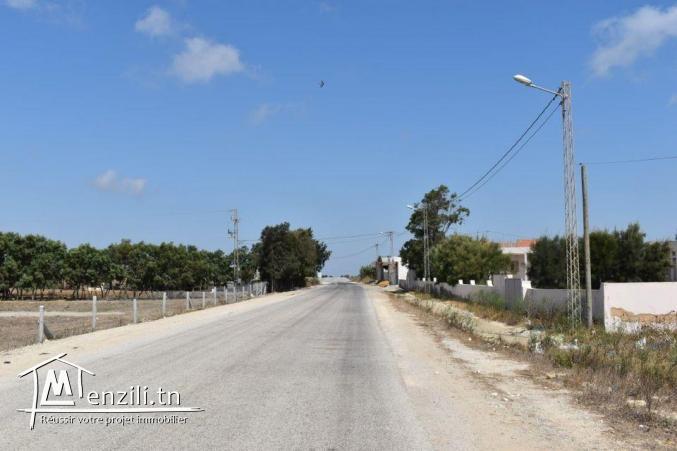 أراضي للإستثمار