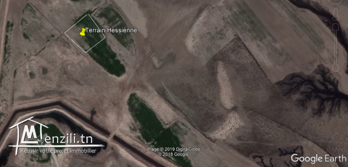 11250 m2 à vendre à Hesienne !