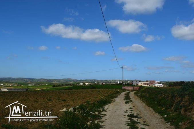 أرض في منزل براهيم