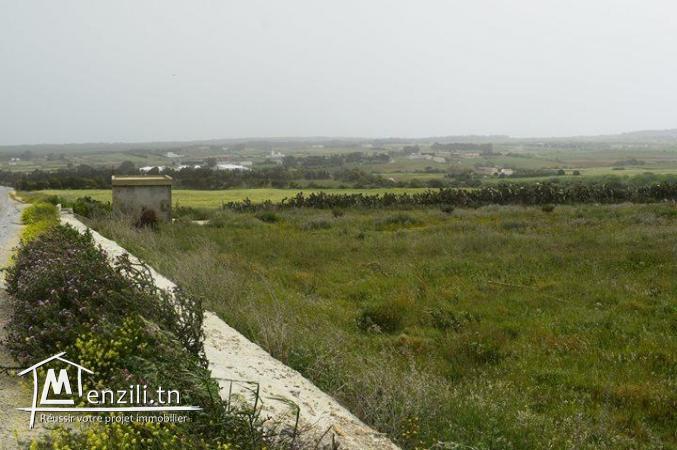 أرض في منزل براهيم