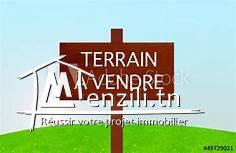 des lot terrain a ne pas rater